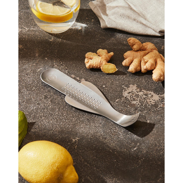 Load image into Gallery viewer, Alessi Boga Ginger Grater