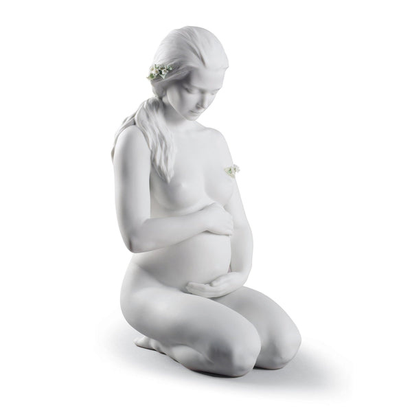 Load image into Gallery viewer, Lladro A New Life Mother Figurine