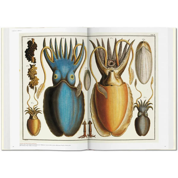 Load image into Gallery viewer, Seba. Cabinet of Natural Curiosities - Taschen Books