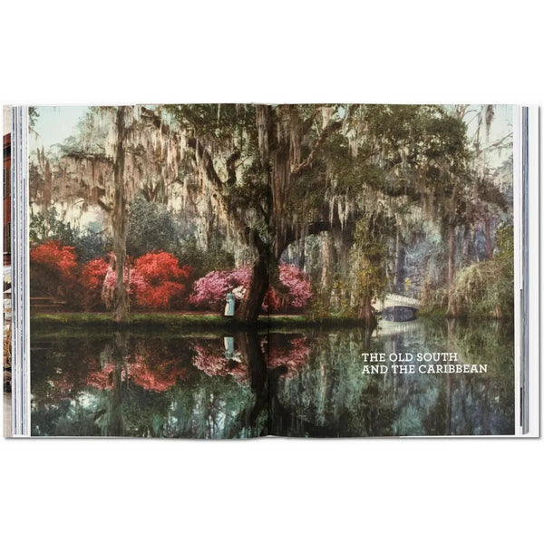 Load image into Gallery viewer, America 1900 - Taschen Books