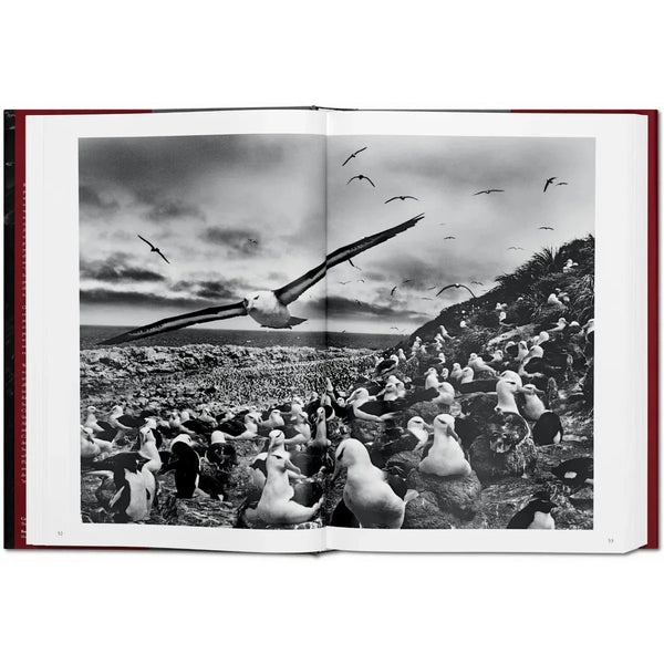 Load image into Gallery viewer, Sebastião Salgado. Genesis - Taschen Books