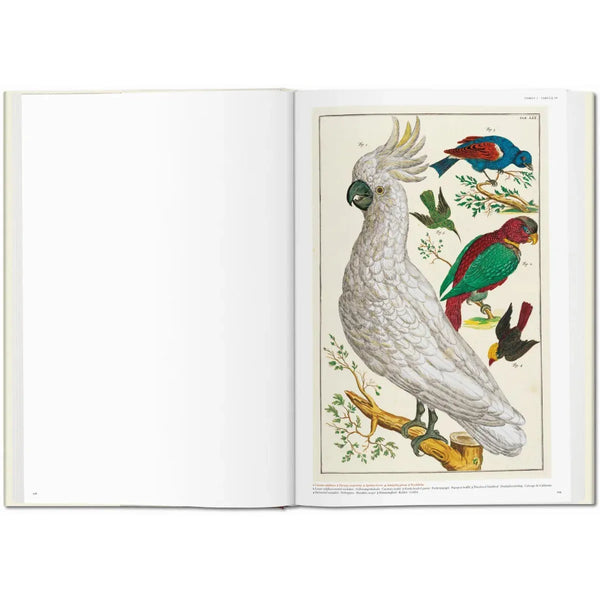 Load image into Gallery viewer, Seba. Cabinet of Natural Curiosities - Taschen Books