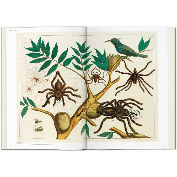 Load image into Gallery viewer, Seba. Cabinet of Natural Curiosities - Taschen Books