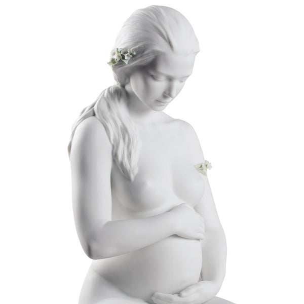 Load image into Gallery viewer, Lladro A New Life Mother Figurine