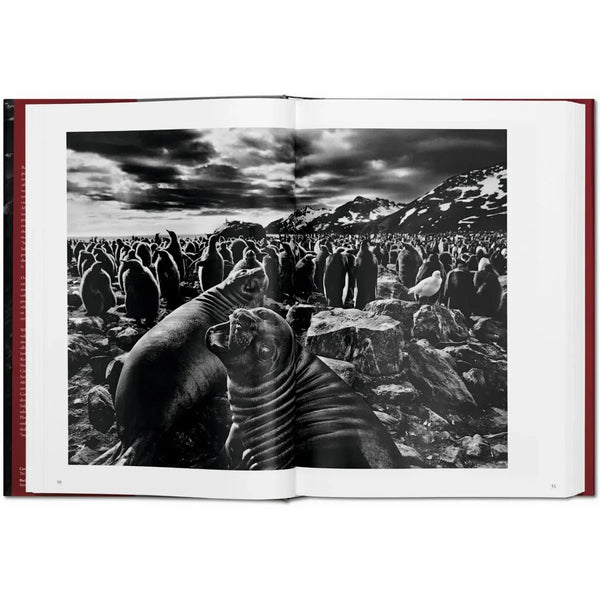 Load image into Gallery viewer, Sebastião Salgado. Genesis - Taschen Books