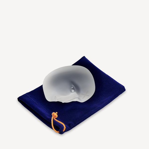 Load image into Gallery viewer, Kosta Boda Brains You Are The Light