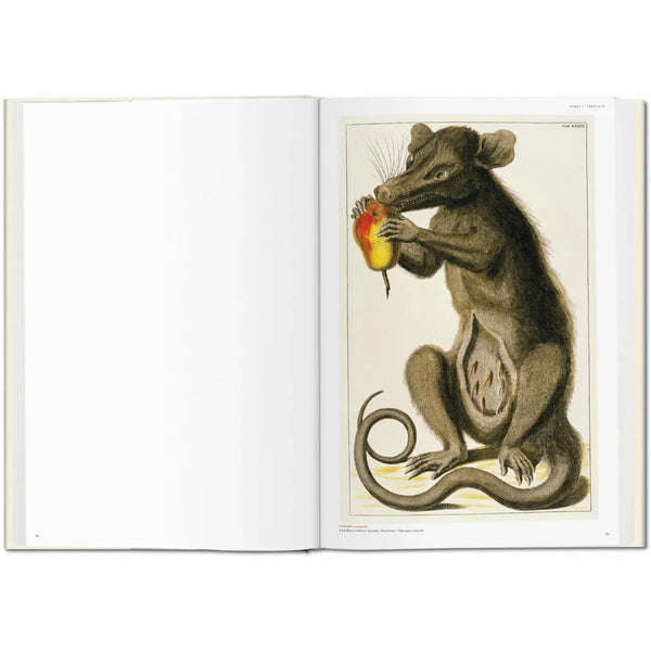 Load image into Gallery viewer, Seba. Cabinet of Natural Curiosities - Taschen Books