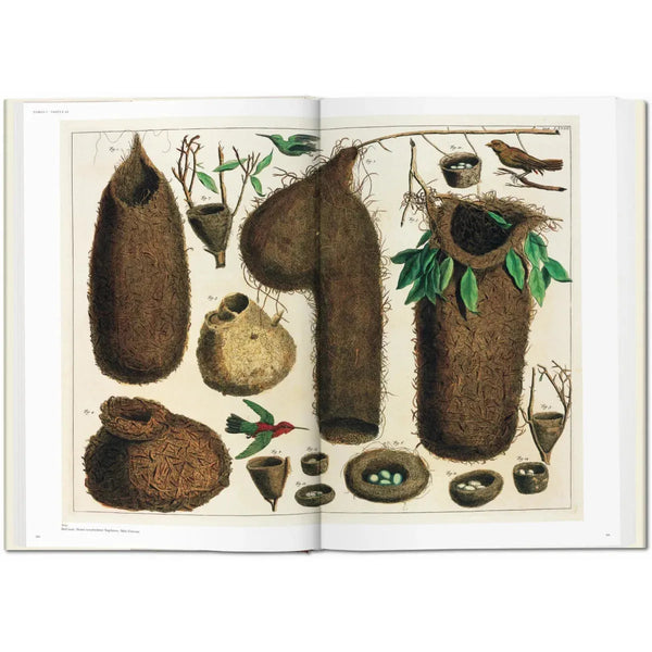 Load image into Gallery viewer, Seba. Cabinet of Natural Curiosities - Taschen Books