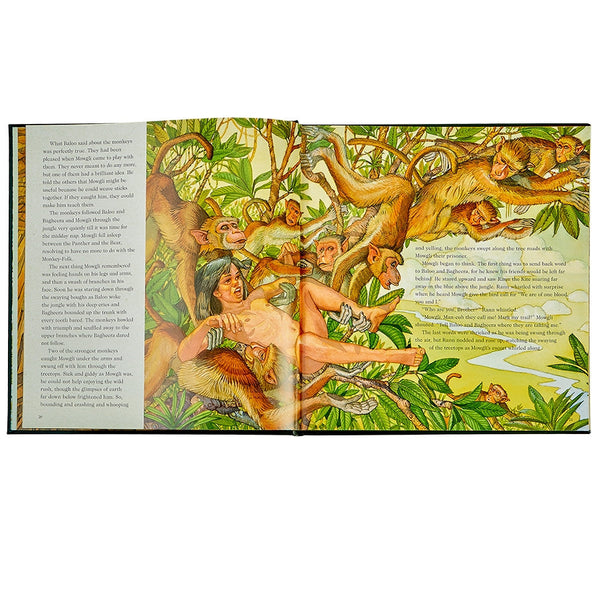 Load image into Gallery viewer, Graphic Image The Jungle Book - Leather Book