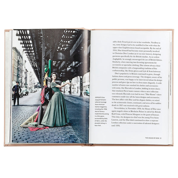 Load image into Gallery viewer, Graphic Image Little Book of Dior - Leather Book