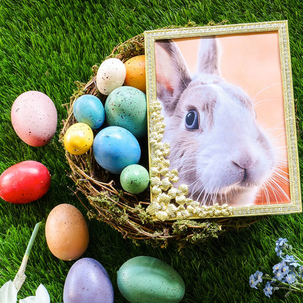 Load image into Gallery viewer, Olivia Riegel Gold Evelyn 5" x 7" Frame