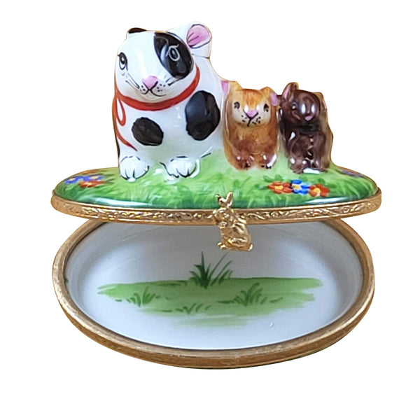 Load image into Gallery viewer, Rochard "Rabbit Family - Spring Design" Limoges Box