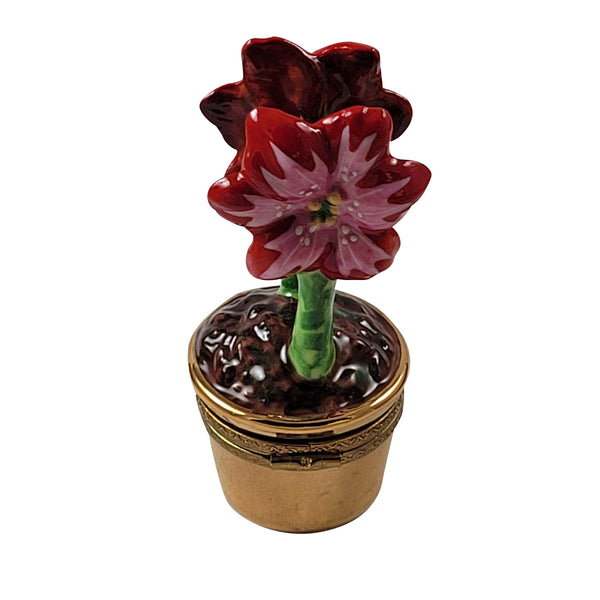 Load image into Gallery viewer, Rochard "Red and Pink Amaryllis with Watering Can" Limoges Box