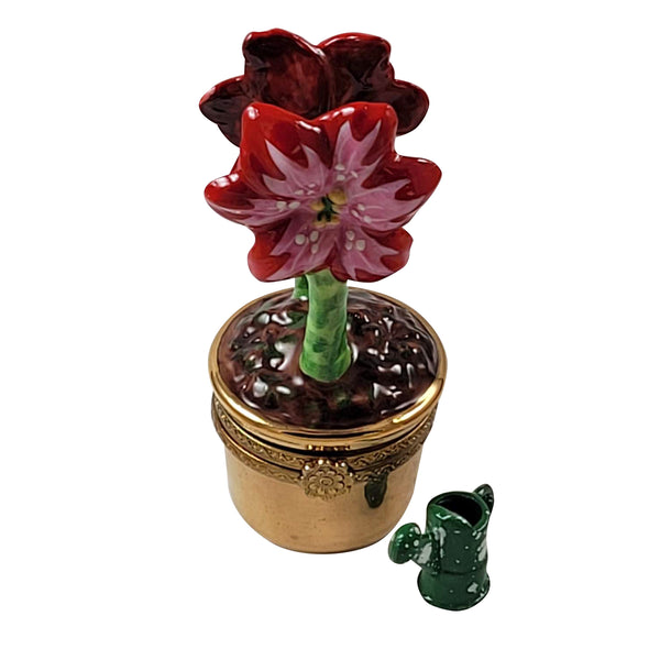 Load image into Gallery viewer, Rochard "Red and Pink Amaryllis with Watering Can" Limoges Box