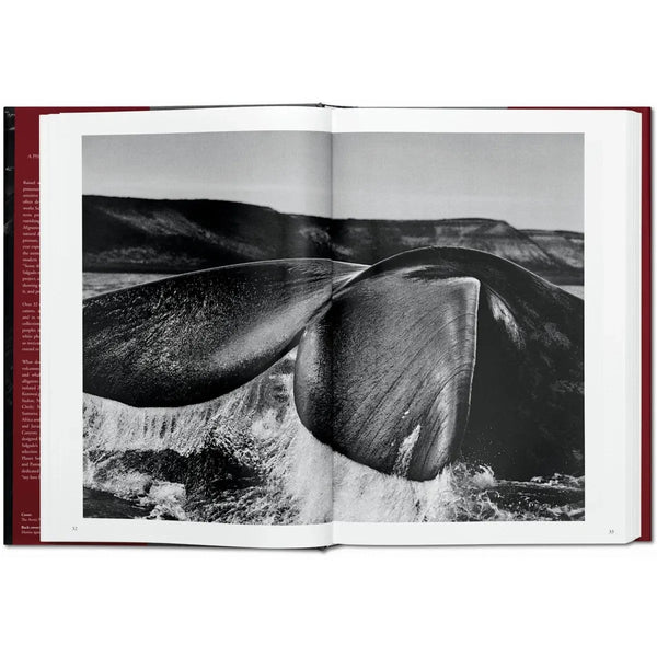 Load image into Gallery viewer, Sebastião Salgado. Genesis - Taschen Books