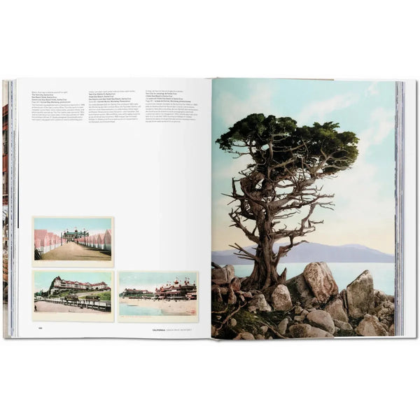 Load image into Gallery viewer, America 1900 - Taschen Books