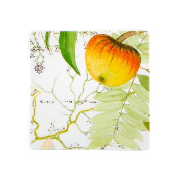 Load image into Gallery viewer, Vista Alegre Amazonia - Set Of 4 Coasters