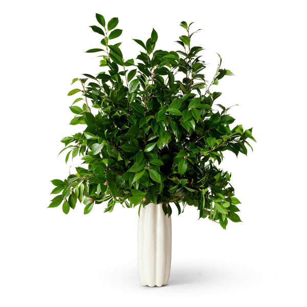 Load image into Gallery viewer, AERIN Mirabelle Tall Vase