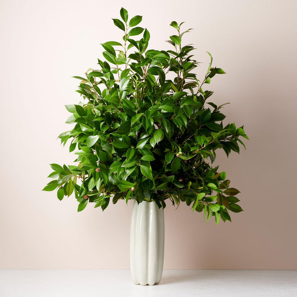 Load image into Gallery viewer, AERIN Mirabelle Tall Vase