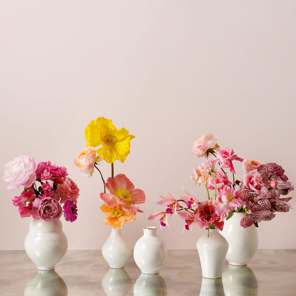 Load image into Gallery viewer, AERIN Sancia Grecian Vase