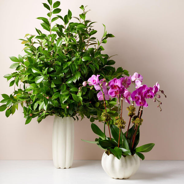 Load image into Gallery viewer, AERIN Mirabelle Cachepot - Cream