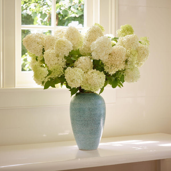 Load image into Gallery viewer, AERIN Calinda Tapered Vase