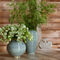 Load image into Gallery viewer, AERIN Calinda Tapered Vase - Shadow