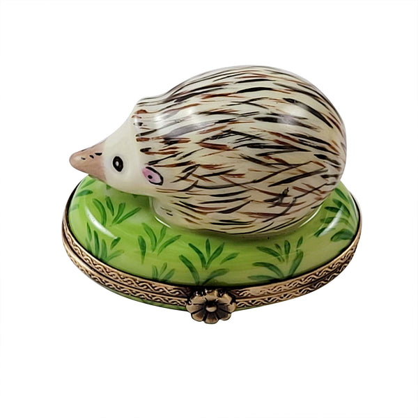 Load image into Gallery viewer, Rochard "Hedgehog" Limoges Box