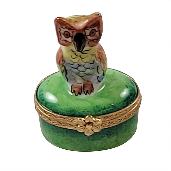 Load image into Gallery viewer, Rochard "Small Owl on Green Oval" Limoges Box