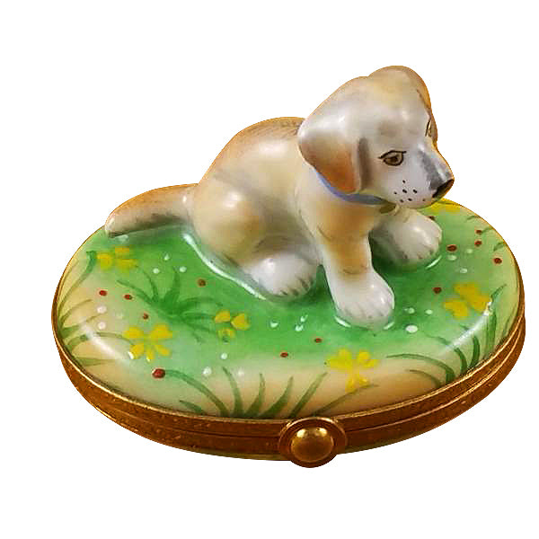Load image into Gallery viewer, Rochard "Blond / Yellow Labrador" Limoges Box