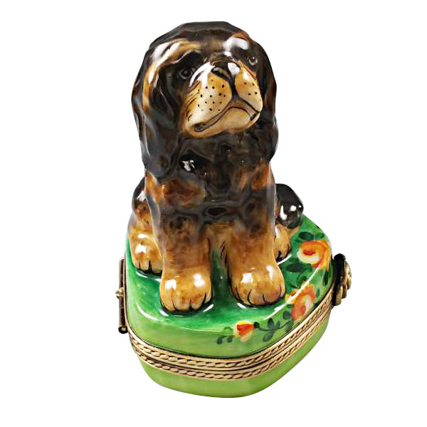 Load image into Gallery viewer, Rochard "Black and Tan King Charles Spaniel" Limoges Box