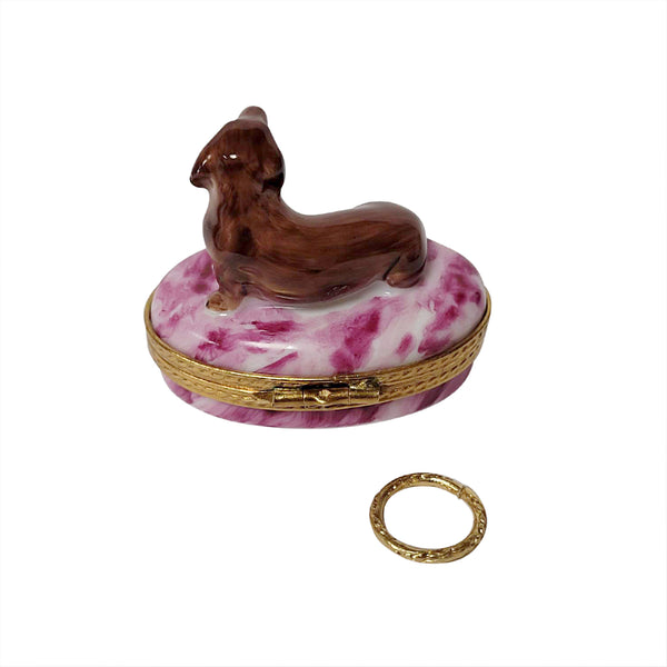 Load image into Gallery viewer, Rochard "Dachshund with Removable Brass Dog Collar" Limoges Box