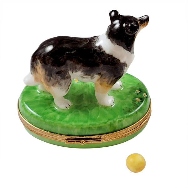 Load image into Gallery viewer, Rochard "Sheltie with Removable Ball" Limoges Box