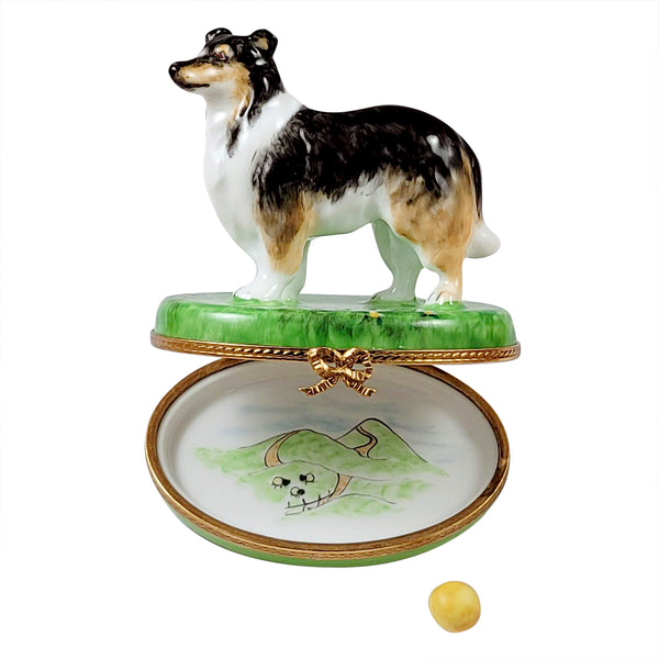 Load image into Gallery viewer, Rochard "Sheltie with Removable Ball" Limoges Box