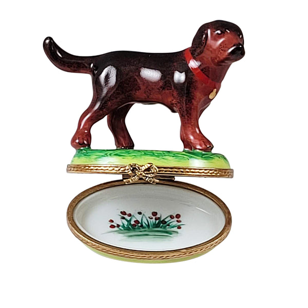 Load image into Gallery viewer, Rochard "Chocolate Labrador Standing" Limoges Box