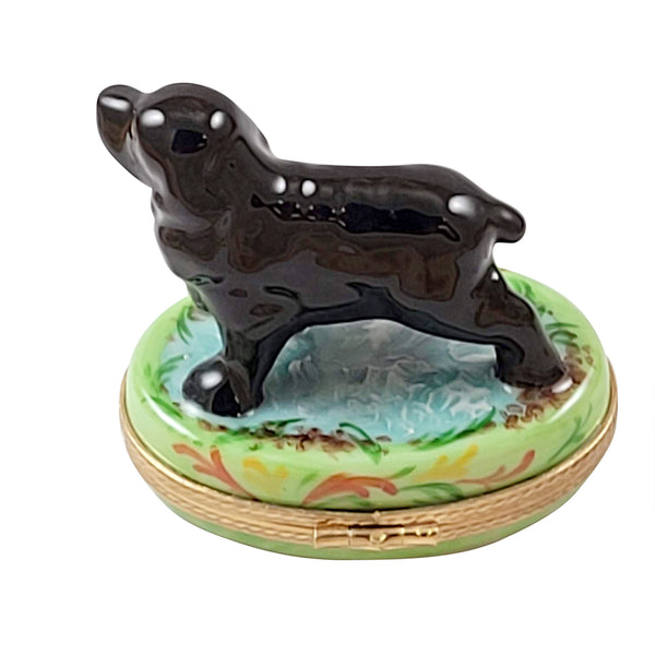 Load image into Gallery viewer, Rochard "Black Cocker Spainiel" Limoges Box