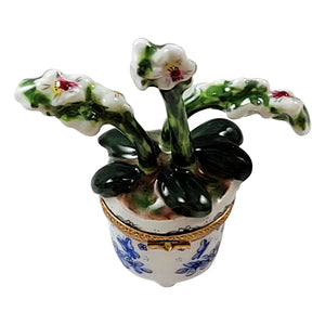 Rochard "Orchid in Pot" Limoges Box
