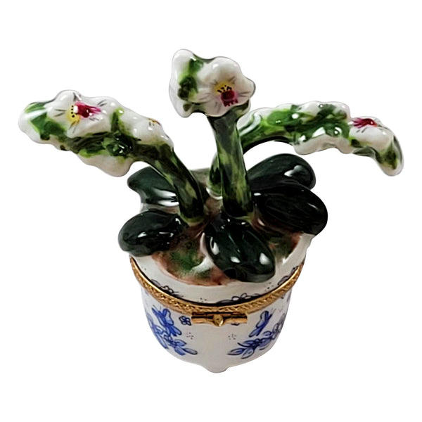 Load image into Gallery viewer, Rochard "Orchid in Pot" Limoges Box