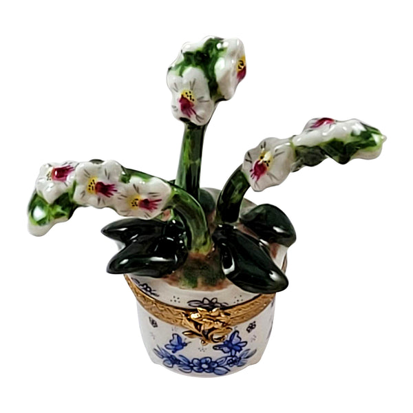 Load image into Gallery viewer, Rochard "Orchid in Pot" Limoges Box