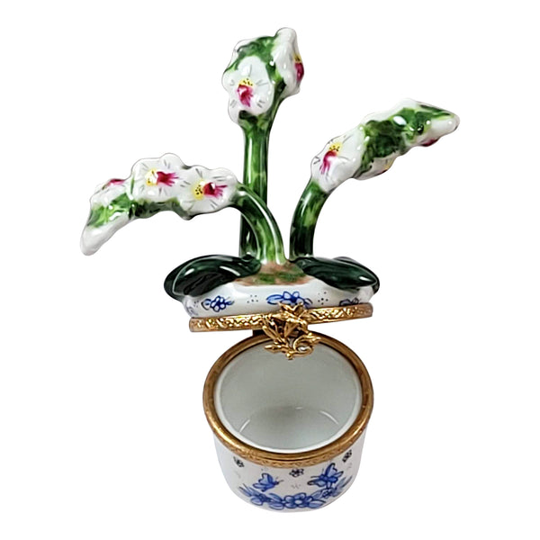 Load image into Gallery viewer, Rochard "Orchid in Pot" Limoges Box