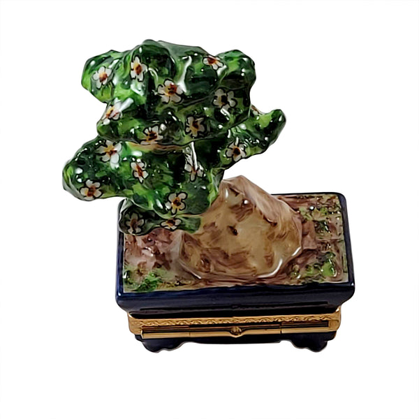Load image into Gallery viewer, Rochard "Bonsai Tree" Limoges Box
