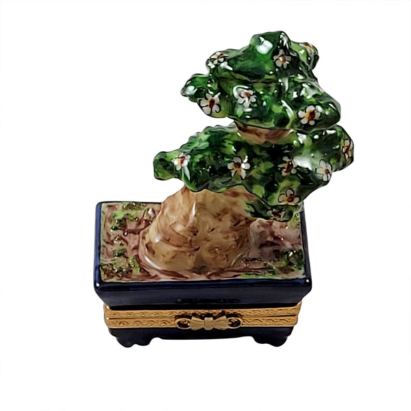 Load image into Gallery viewer, Rochard "Bonsai Tree" Limoges Box
