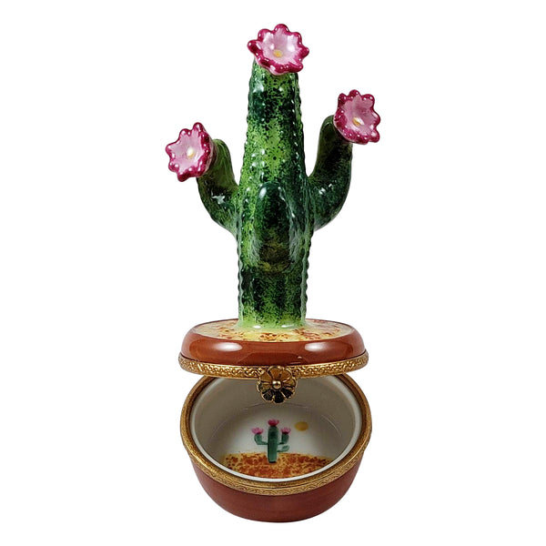 Load image into Gallery viewer, Rochard "Flowering Cactus in Pot" Limoges Box