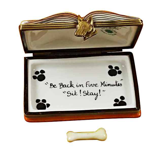 Load image into Gallery viewer, Rochard "Veterinarian Book" Limoges Box