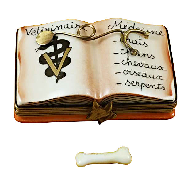 Load image into Gallery viewer, Rochard "Veterinarian Book" Limoges Box