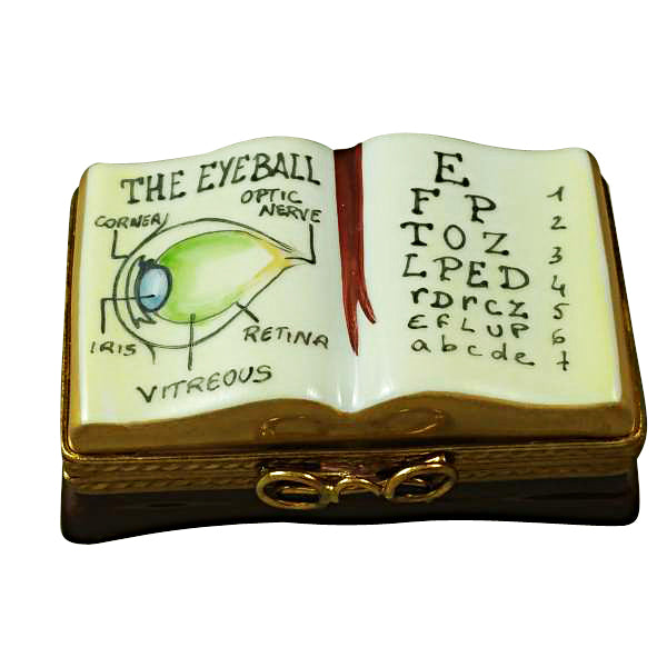 Load image into Gallery viewer, Rochard "Ophthalmologist / Eye Doctor Book" Limoges Box