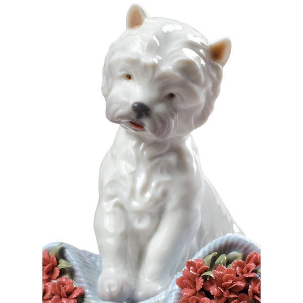 Load image into Gallery viewer, Lladro Playful Character Dog Figurine Type 164