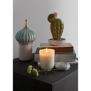 Lladro Opuntia Cactus Diffuser - Gardens of Valencia Scent