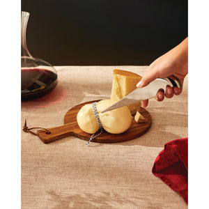 Alessi Antechinus Cheese Knife