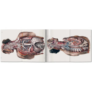 Bourgery. Atlas of Human Anatomy and Surgery - Taschen Books